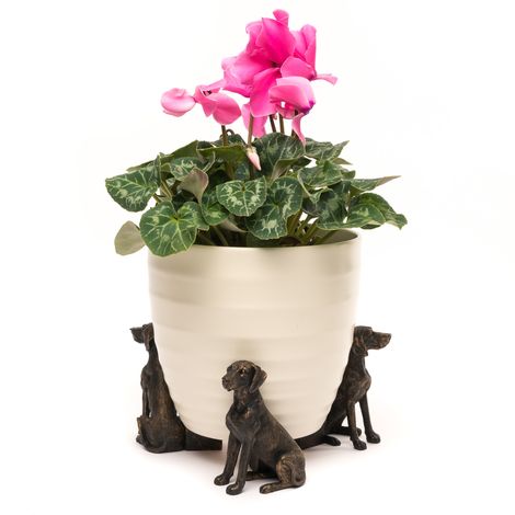 Antique Bronze Coloured Weimaraner Potty Feet - Plant Pot Feet